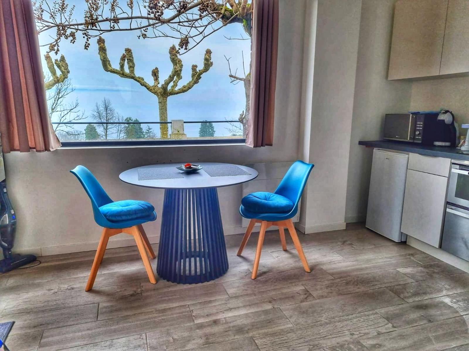 Appartement Cozy 2 Panoramique Lac Leman Thonon-Les-Bains Buitenkant foto